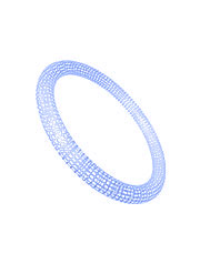 ring-b.jpg